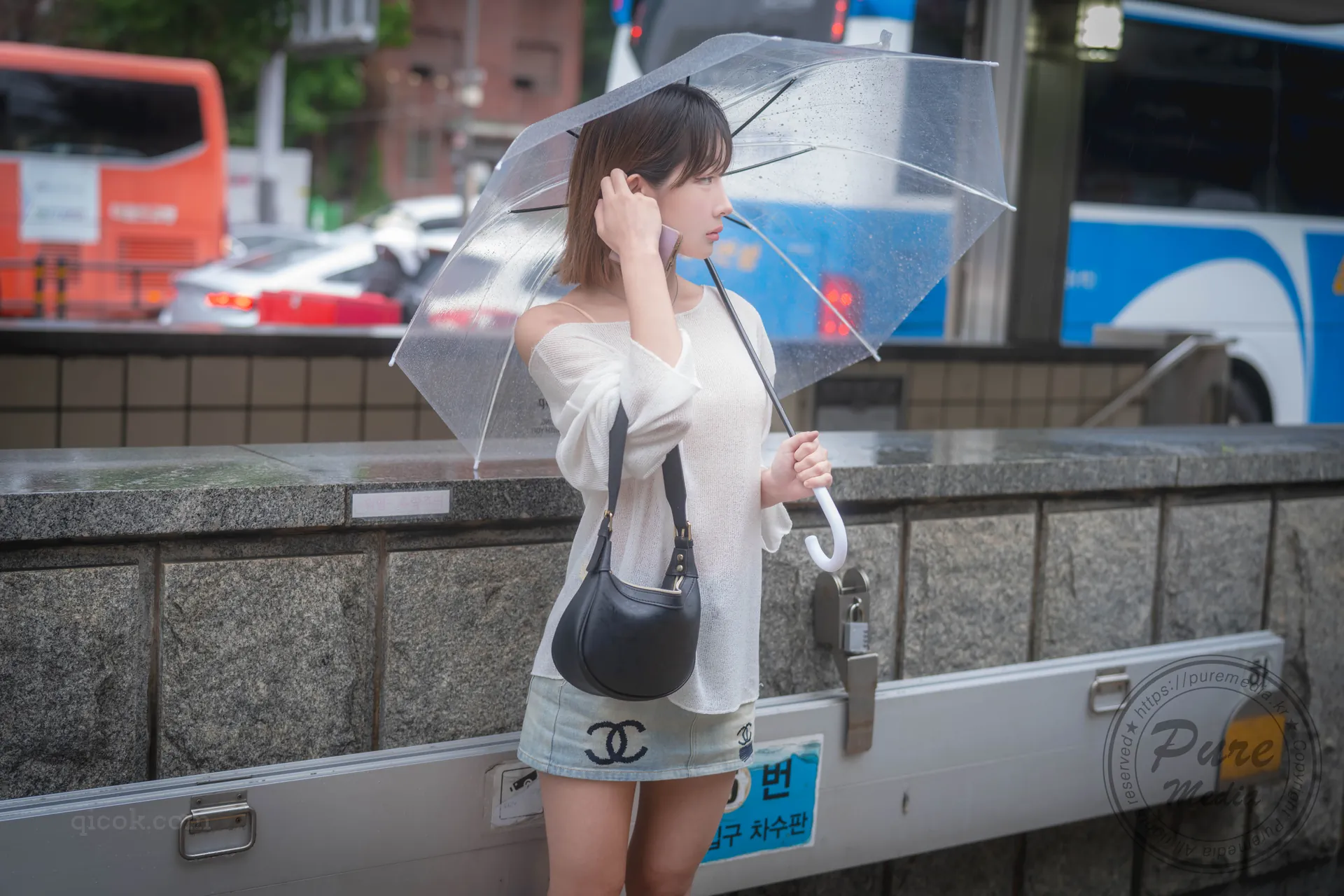 [PURE MEDIA] Vol.299 – Tasha [186P-264MB]-密图社