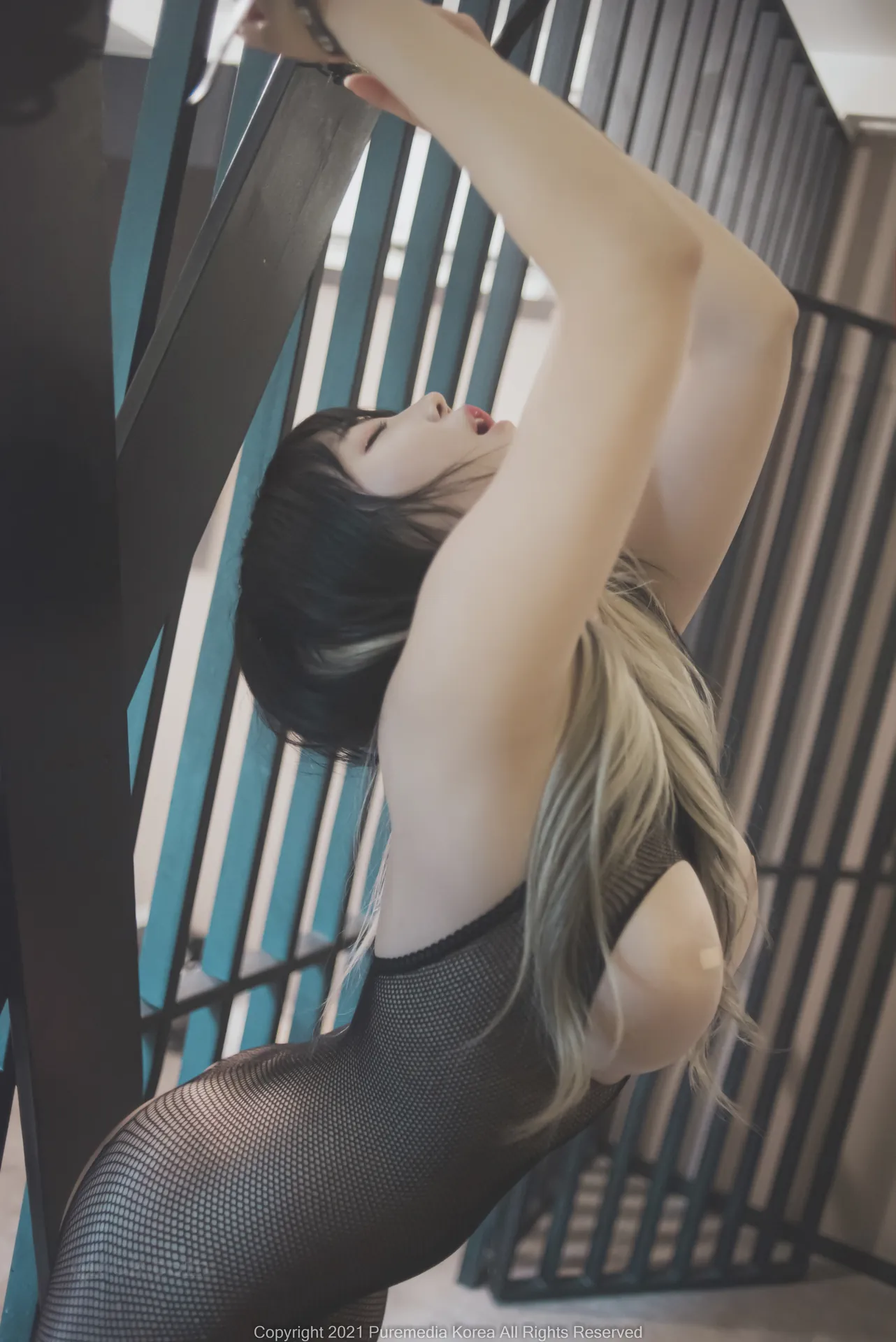 AramNO012PureMediaV - 2qicok2364com.webp